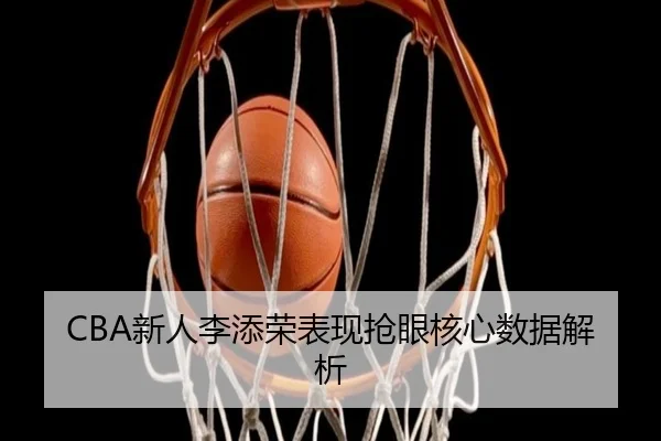CBA新人李添荣表现抢眼核心数据解析